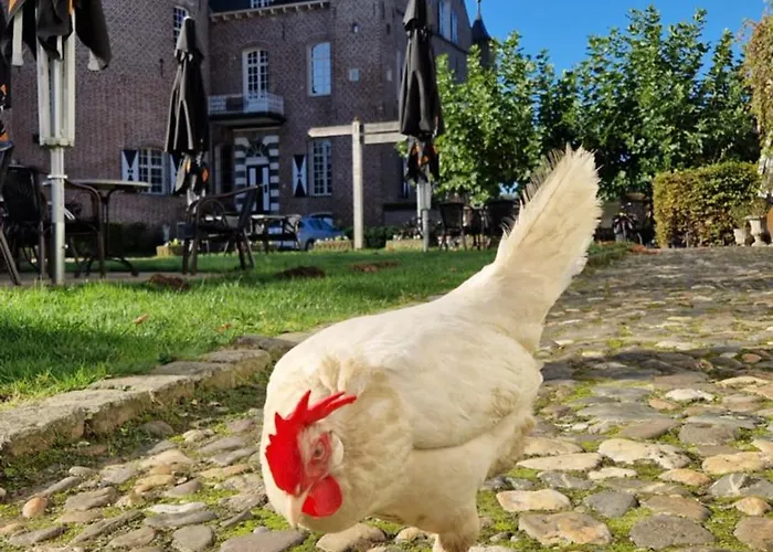 Bed & Breakfast Kasteel Aldenghoor