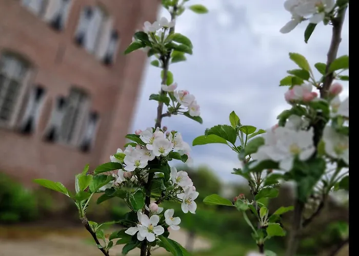 Kasteel Aldenghoor Frühstückspension