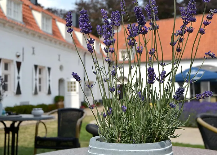 Frühstückspension Kasteel Aldenghoor Haelen