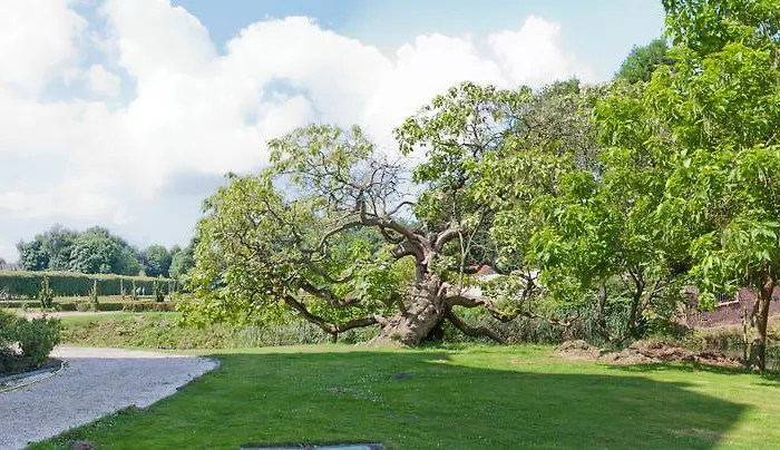 Kasteel Aldenghoor Bed & Breakfast Haelen