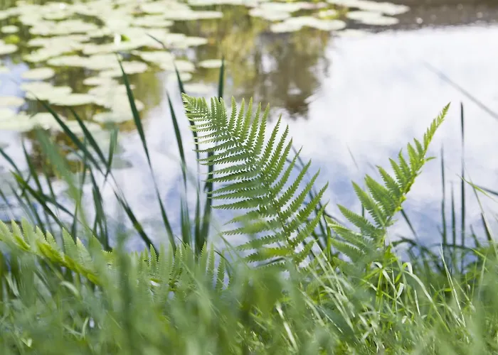 Bed & Breakfast Kasteel Aldenghoor