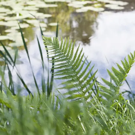 לינה וארוחת בוקר Kasteel Aldenghoor